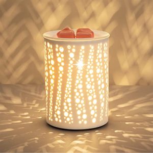 PALANCHY Wax Melt Warmer Ceramic Oil Burner Electr