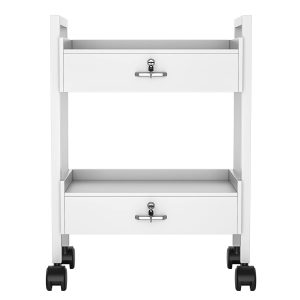 Salon Beauty Cabinet Cart Trolley 2-Layer Rolling