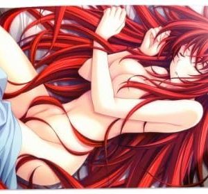 A Wide Variety of High School DxD Characters Desk