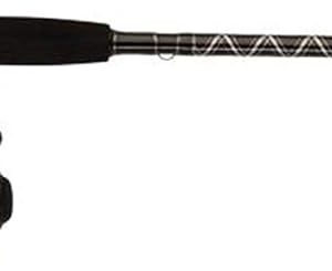 PENN Pursuit III Pursuit IV Spinning Reel and Fi