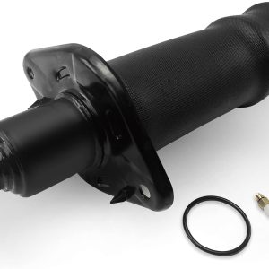 VIGOR Rear Left Air Suspension Spring Compatible w