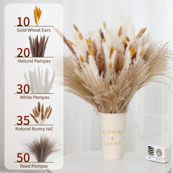 Dried Pampas Grass Boho Home Decor 145 PCS, Natura
