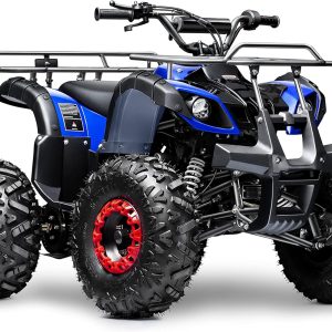 Seangles GAS 125cc ATV Quad 4 Wheeler Four Wheeler