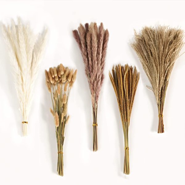 Liuxuange Dried Pampas Grass Decor 120Pcs Dried Fl