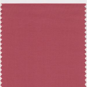 PANTONE Smart 17-1537X Color Swatch Card, Mineral