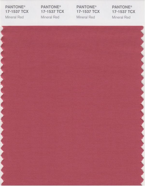 PANTONE Smart 17-1537X Color Swatch Card, Mineral