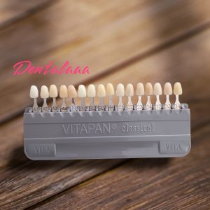 Vitapan Guide shade Classical 16 Colors Classical